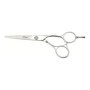 Forbici per capelli Shark Eurostil CORTE 55 5,5"