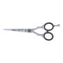 Forbici per capelli Loyal Eurostil CORTE MICRODENTADA 5,5"